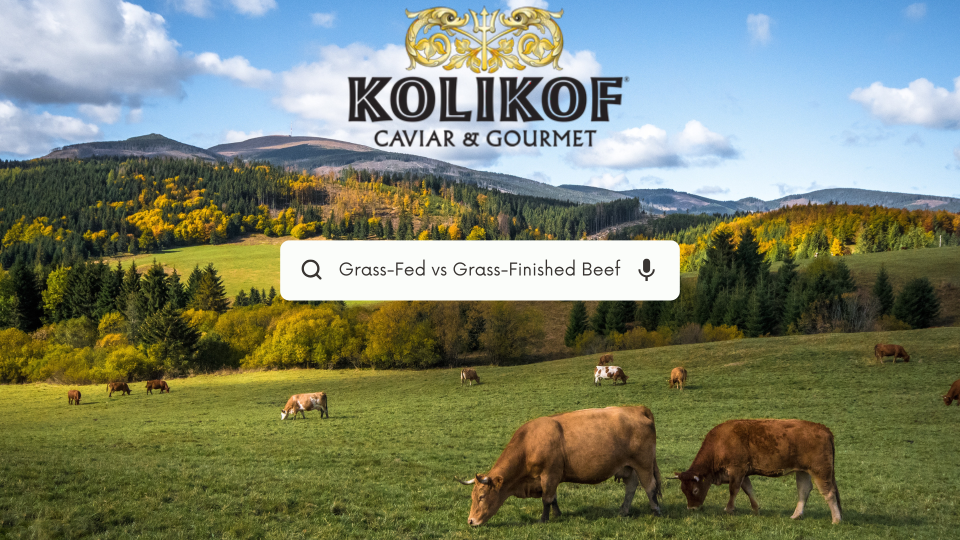 Grass-Fed vs Grass-Finished Beef and Lamb – Kolikof® Caviar & Gourmet