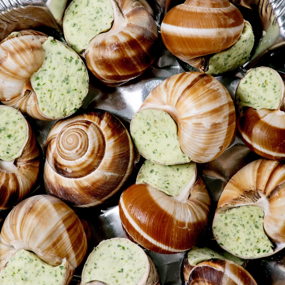 Fresh cooked Burgundy snails - Large size - Bourgogne Escargots