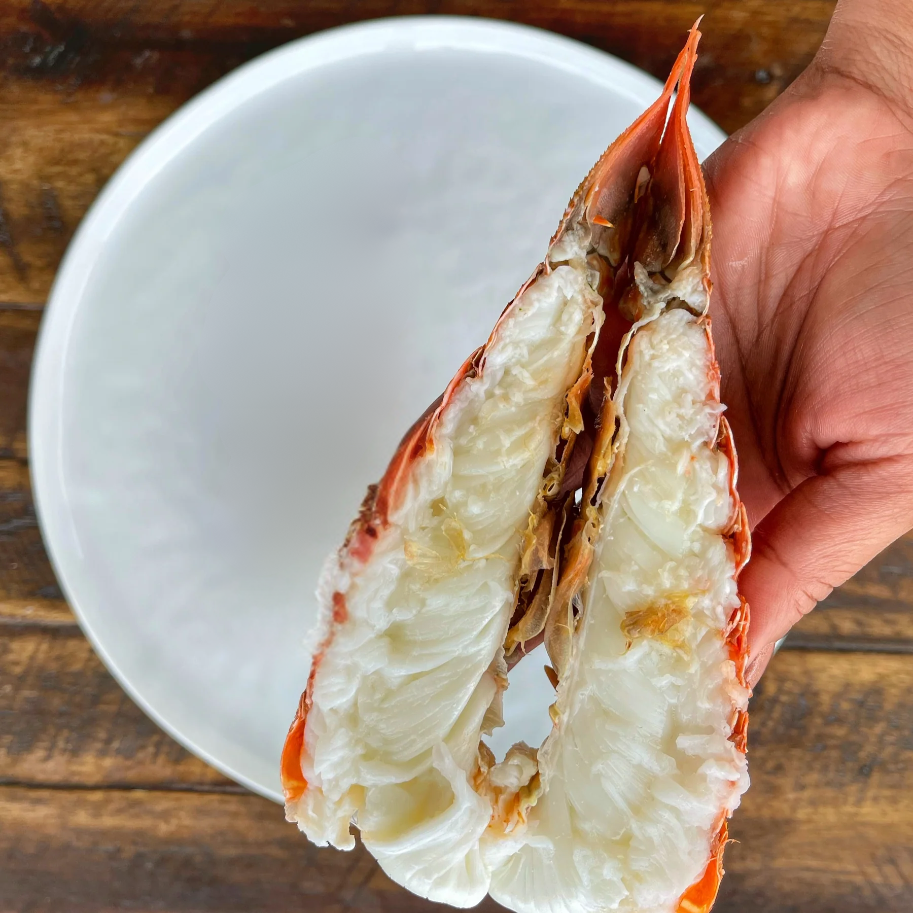 South African Lobster Tails | Order Lobster Tails Online at