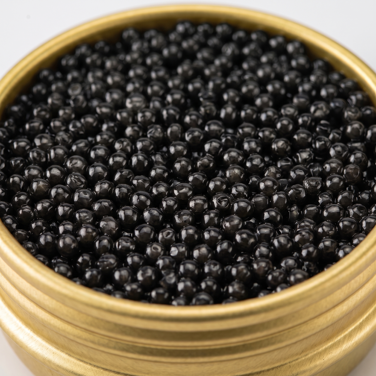 Bold, earthy, and briny — a wild American roe