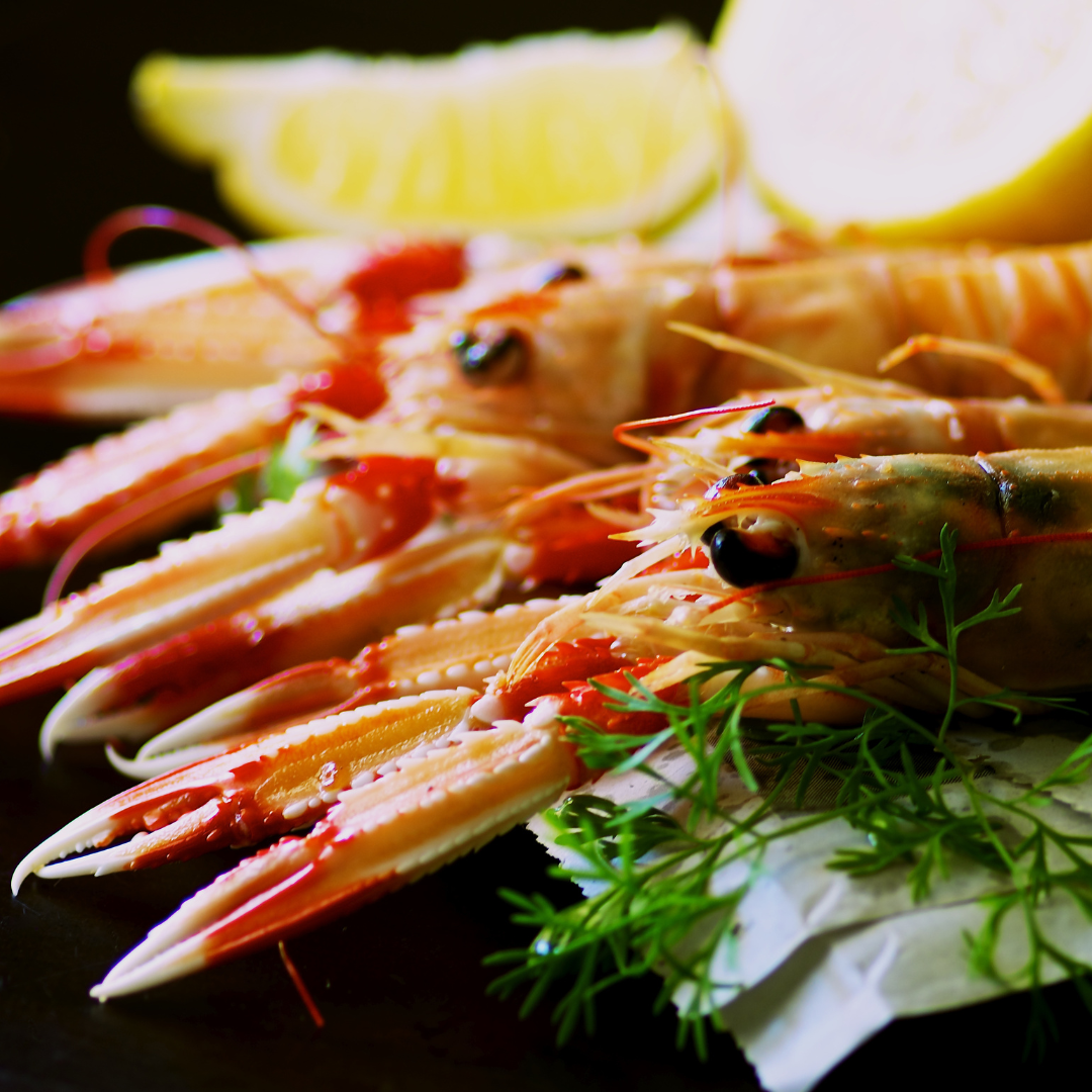 Langoustine Tails – Kolikof® Caviar & Gourmet