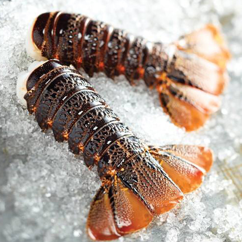 The best shellfish, lobster and seafood to order online at Kolikof.com.