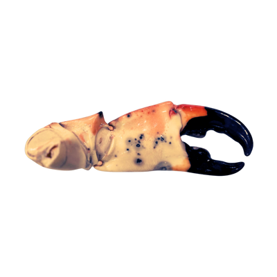 Jumbo Stone Crab Claws (3 - 18lbs)