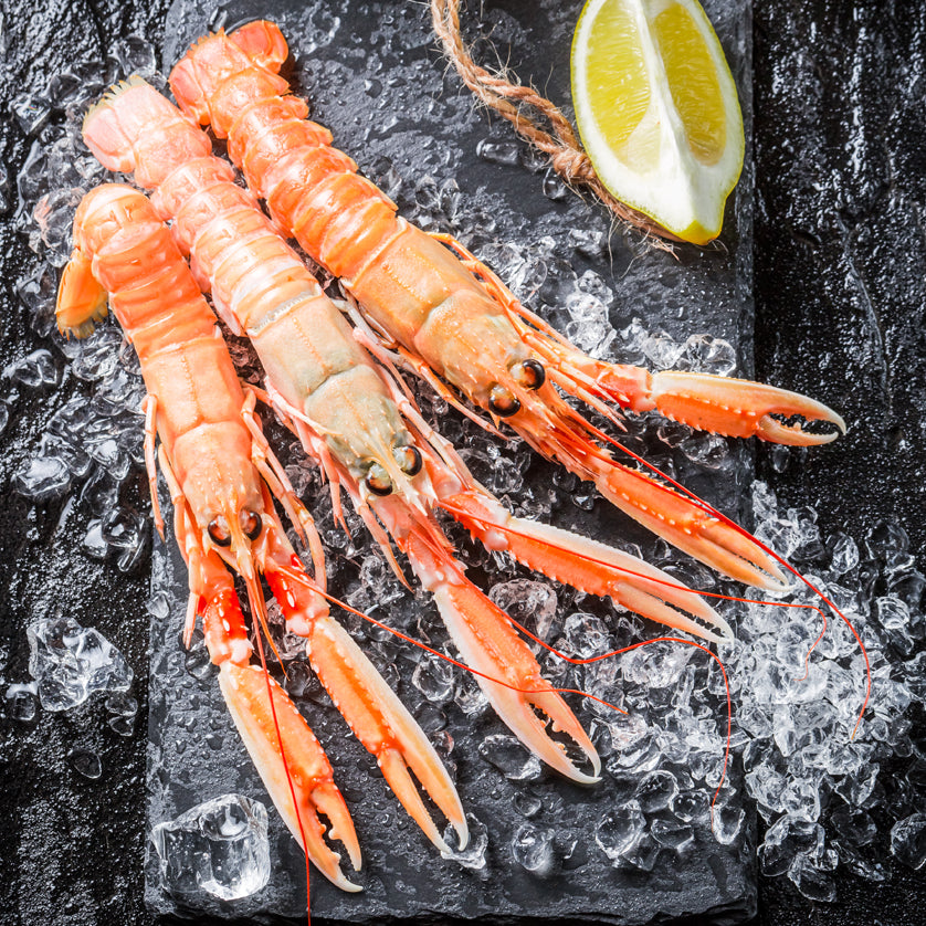 Langoustines for sale online at Kolikof.com. Best source for online caviar and seafood.