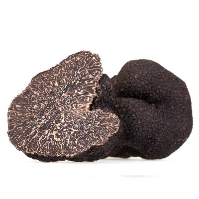 Black Burgundy Truffles (Tuber Uncinatum)