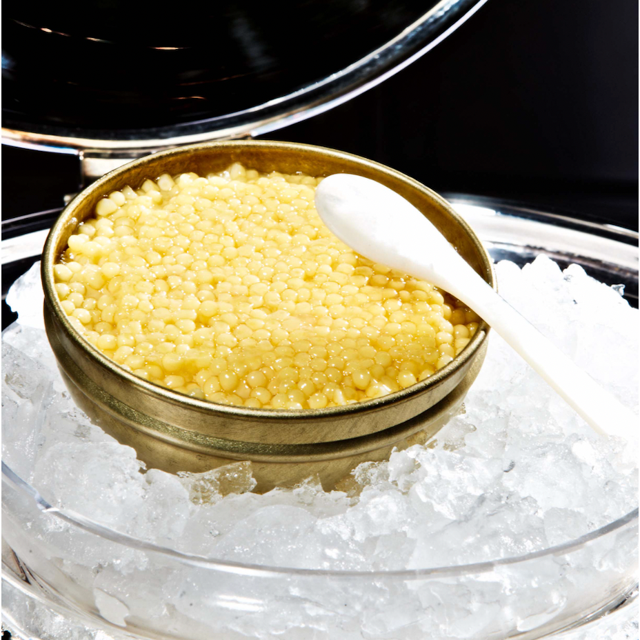 LUXURY WHITE GOLD CAVIAR fashion