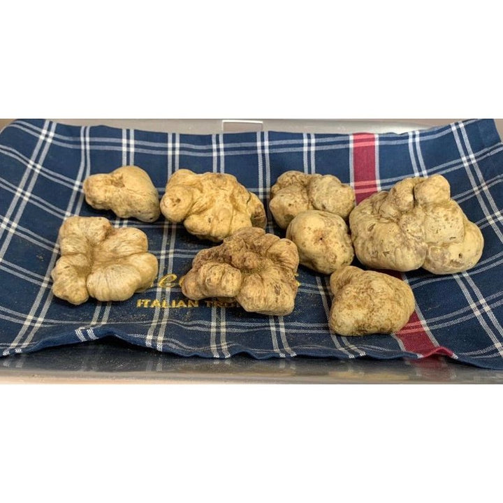 White Italian Truffles (Tuber Magnatum Pico) - Out of Season